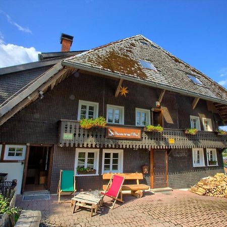 Wohlfuehl-Ferienwohnung 80 Qm, 8 Personen, Aussicht & Heimkino Todtnau Exterior photo