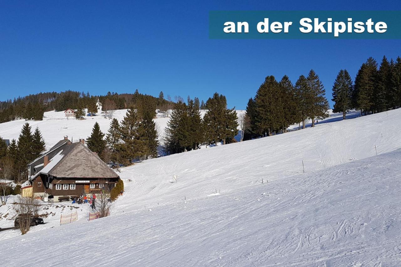 Wohlfuehl-Ferienwohnung 80 Qm, 8 Personen, Aussicht & Heimkino Todtnau Exterior photo