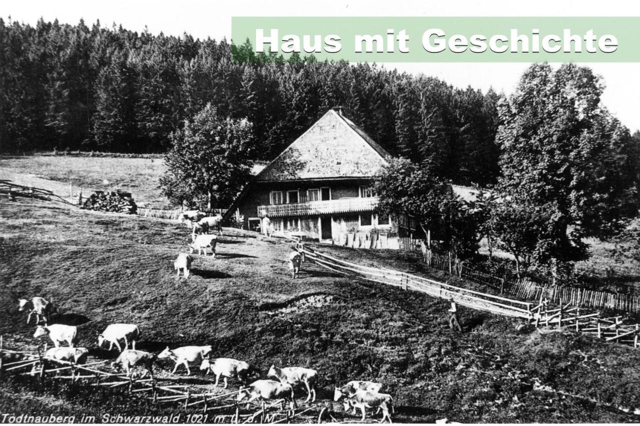Wohlfuehl-Ferienwohnung 80 Qm, 8 Personen, Aussicht & Heimkino Todtnau Exterior photo