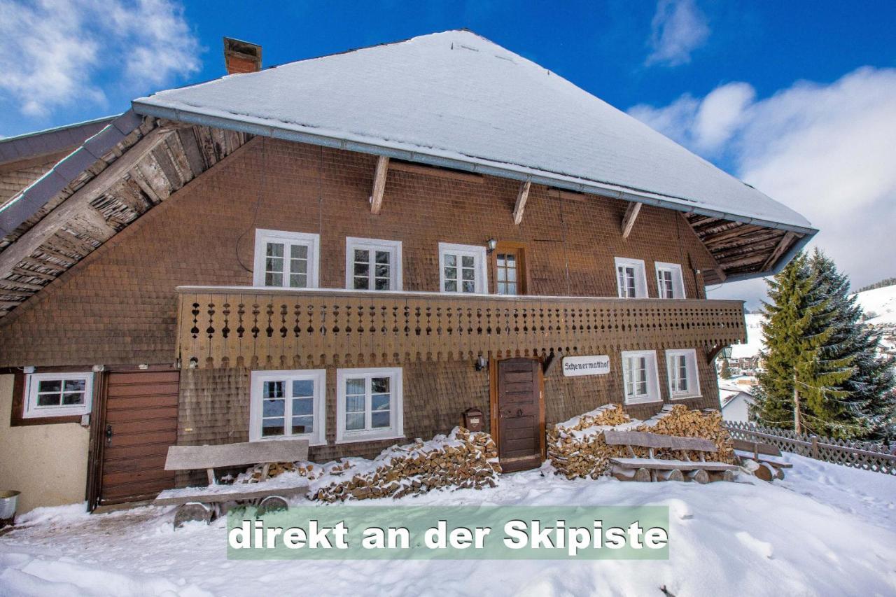 Wohlfuehl-Ferienwohnung 80 Qm, 8 Personen, Aussicht & Heimkino Todtnau Exterior photo